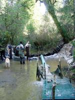 ../fcsmp/monitoring/dsmt/little_freshwater_creek_dsmt_low_water,_march_2005.jpg + 169 KB