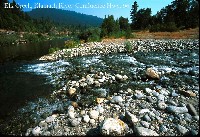 elk_creek_mouth_hwy_96.jpg 140K