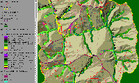 riparian_minor.gif 234K