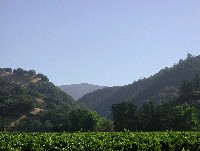 rr_sausal_canyon_jul_15_2003__016.jpg 166K