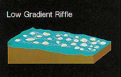 Low gradient riffle in stream