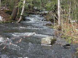 coarse_substrate_sheepscot.JPG (84980 bytes)