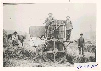 haybaling1900.jpg 124K