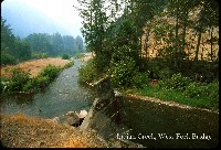 indian_creek_w_frk_bridge.jpg 112K