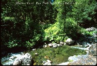 salmon_river_shadow_creek.jpg 143K