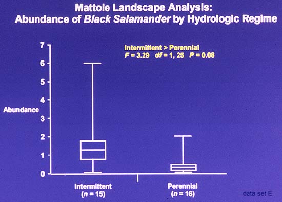 black Salamander by hydrologic regime (32 KB)