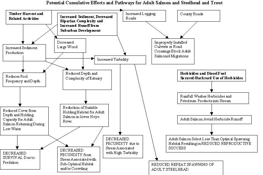 Potential Cumulative Watershed Effects for Adult Salmon and Steelhead